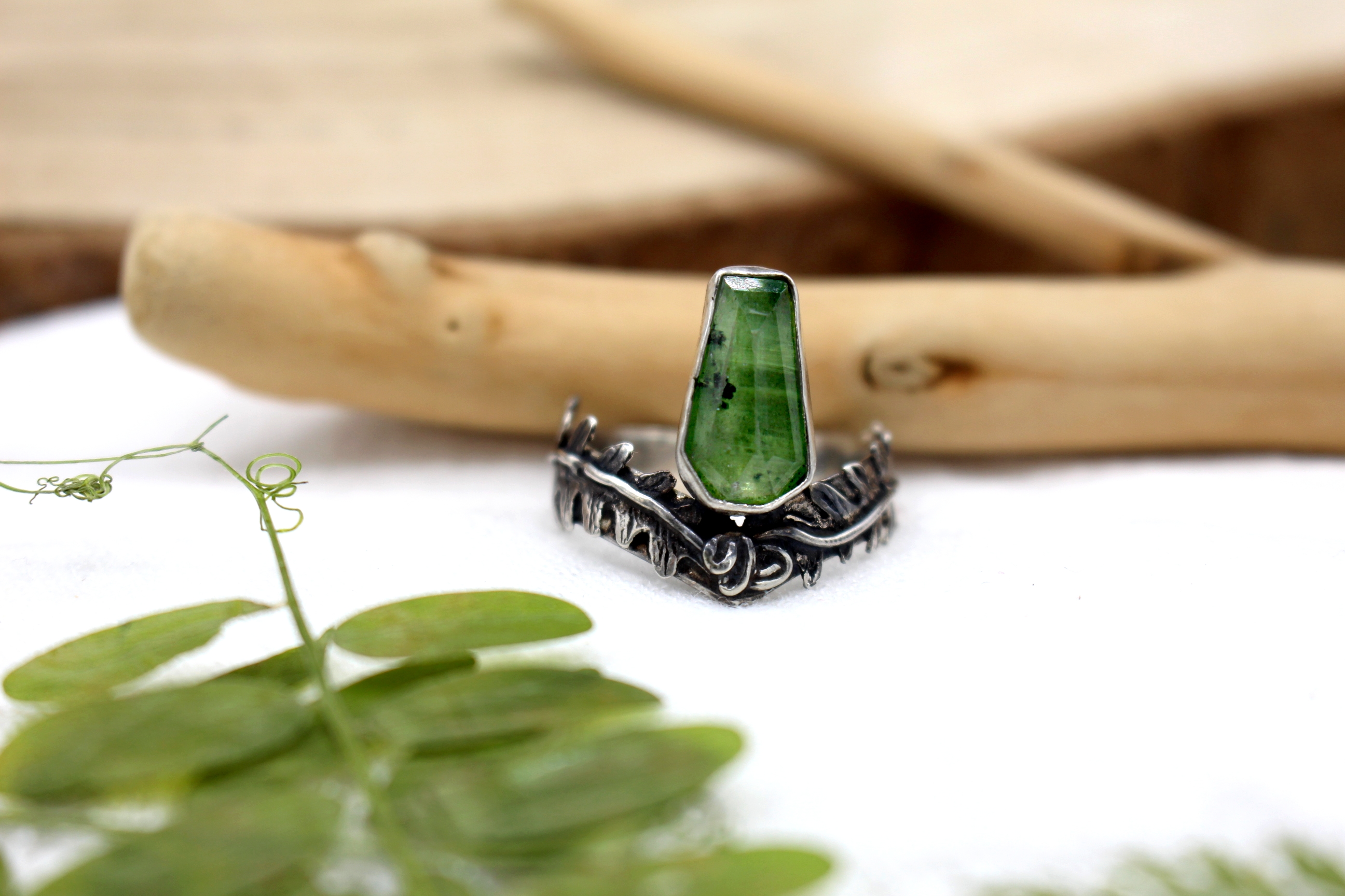 Verdant Fern