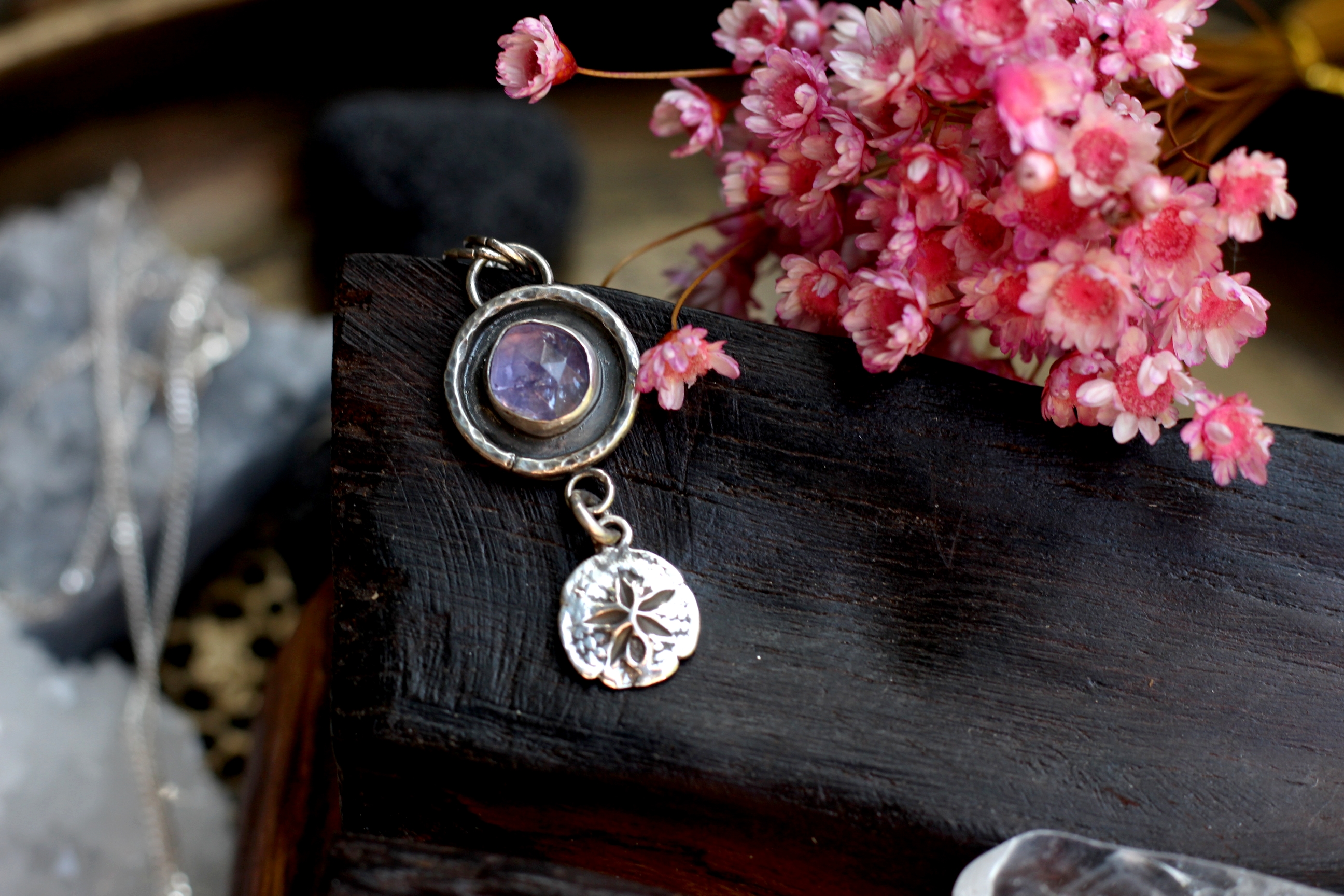 Lavender Sand Dollar