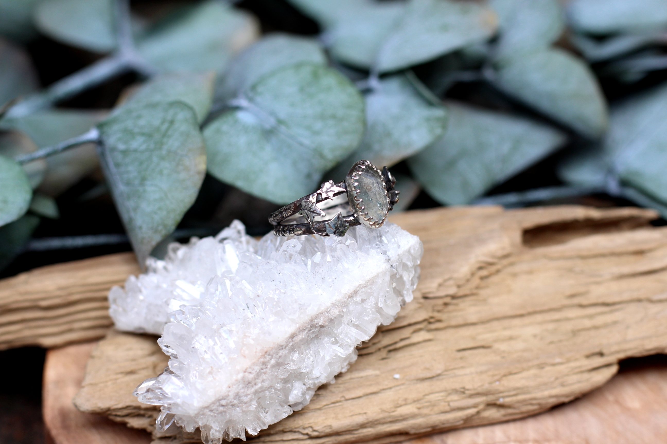 Ivy & Ice