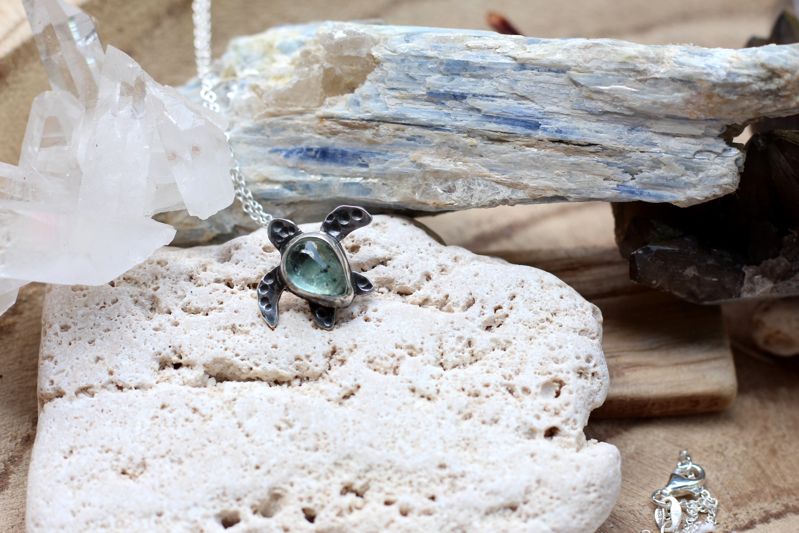 Aquamarine Turtle