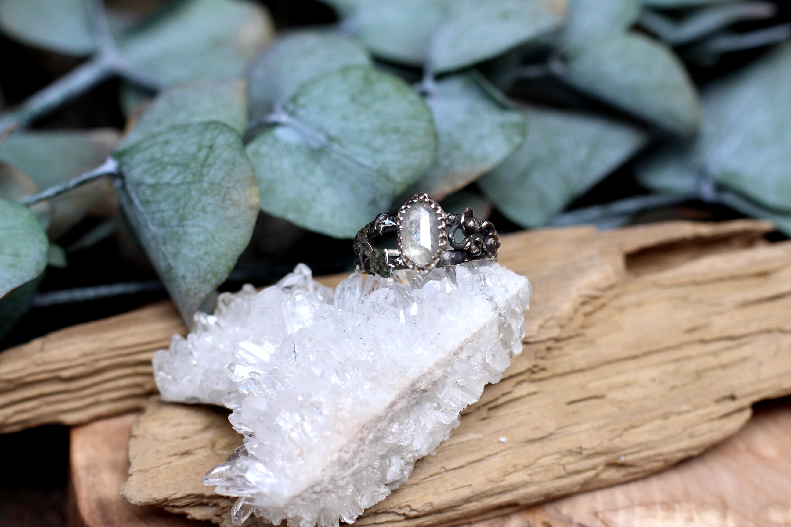 Ivy & Ice