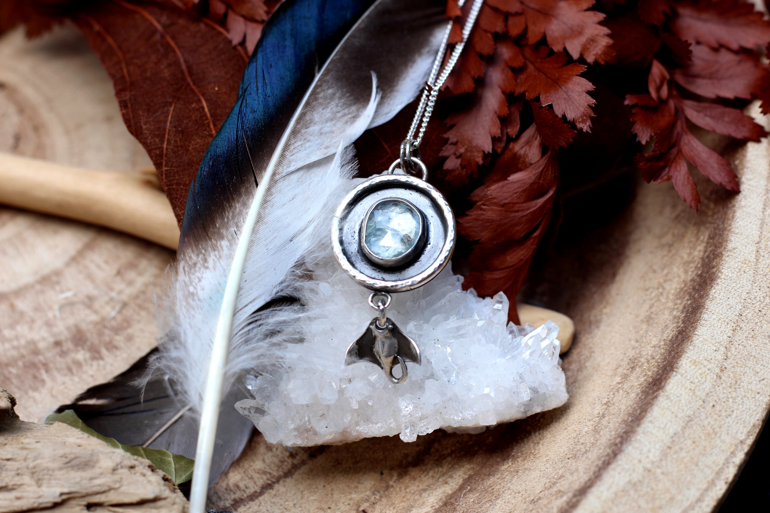 Glacier Ray