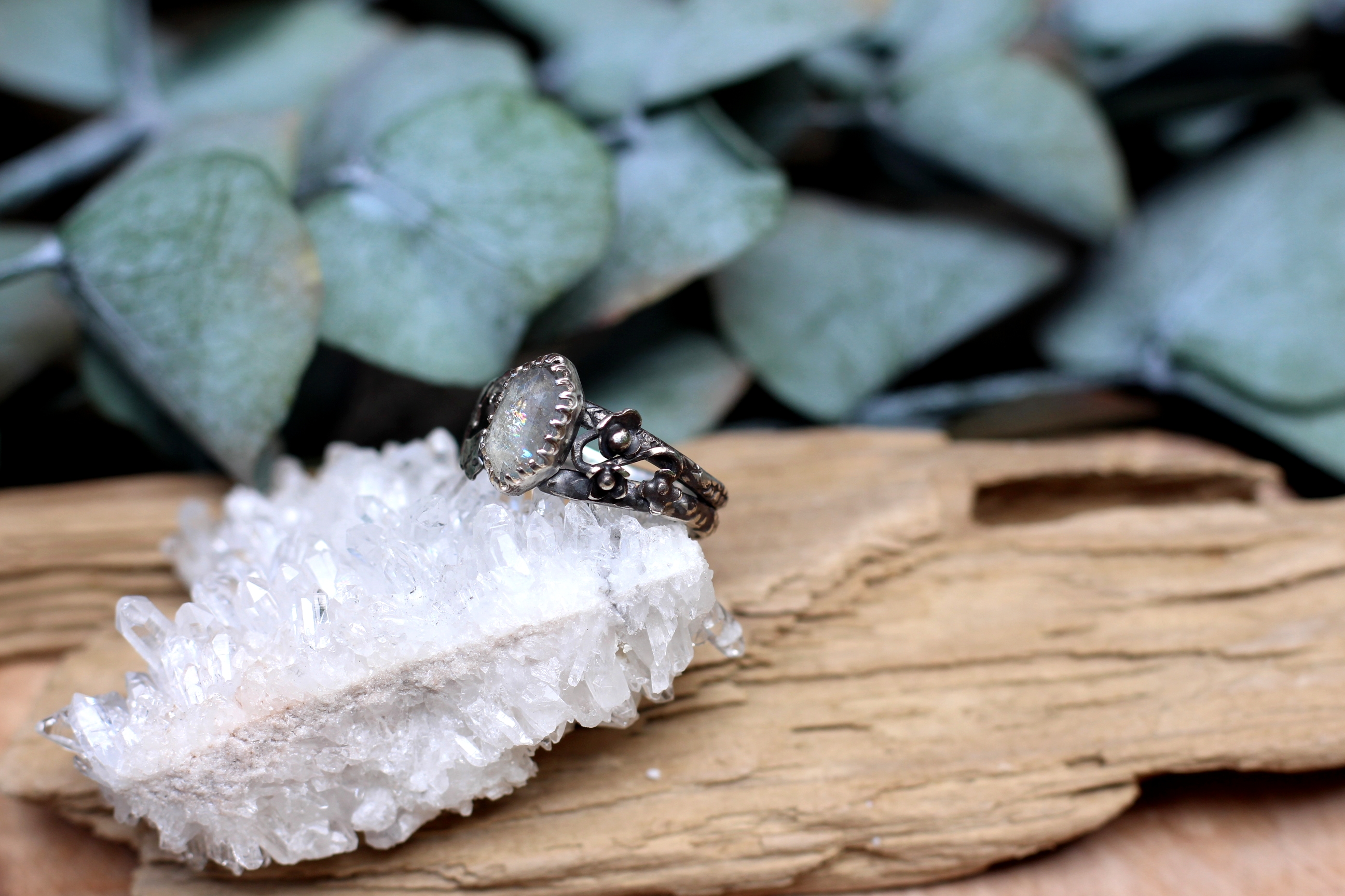 Ivy & Ice