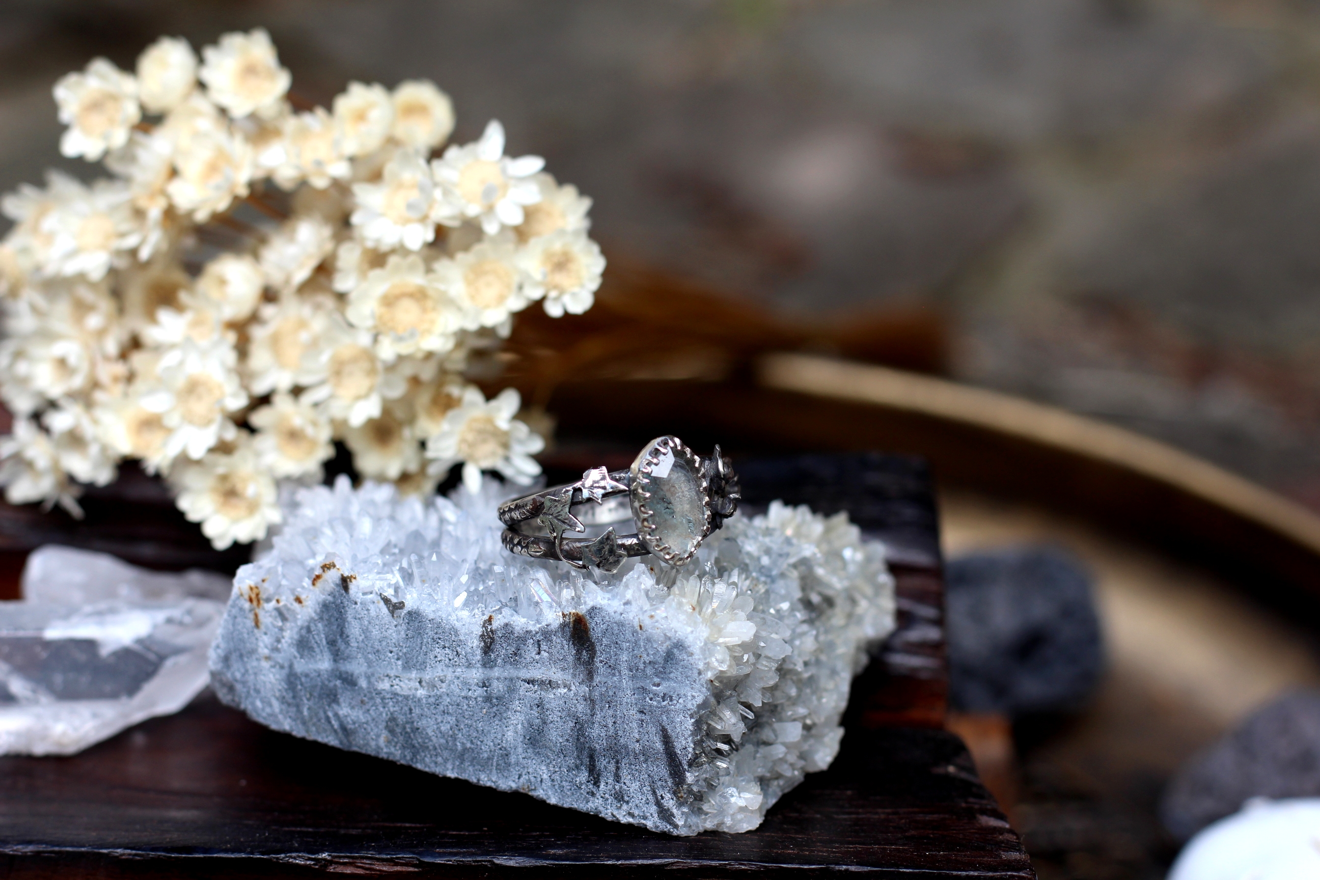 Ivy & Ice